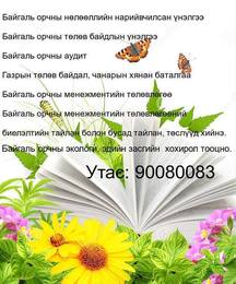 Байгаль орчны нөлөөллийн нарийвчилсан үнэлгээ хийнэ. Байгаль орчны нөлөөллийн нарийвчилсан үнэлгээ хийнэ.